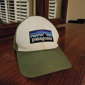 Patagonia snapback